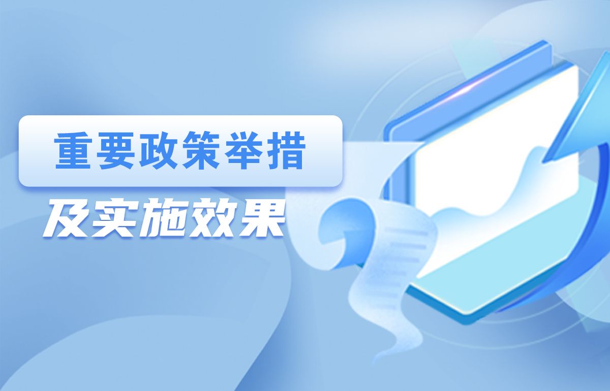 重要政策舉措及實施效果
